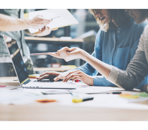 Website and design experts